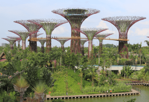 Solar powered super trees create energy, harvest rainwater, sequester carbon