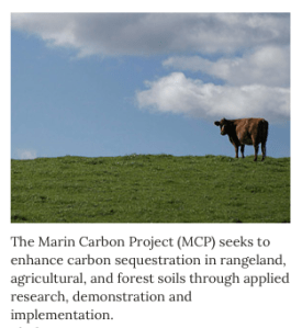 Screen Shot 2014-03-20 at 11.39.37 AM