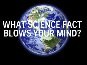 Screen Shot 2015-08-11 at 4.43.01 PM