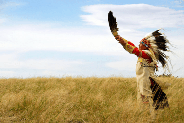 screen-shot-2016-11-28-at-8-58-52-am