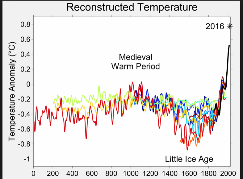 Screen Shot 2018-12-04 at 3.06.39 PM